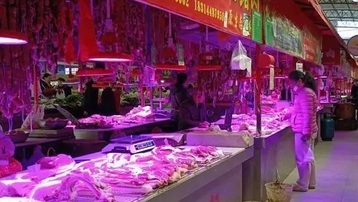 Giá lợn hơi liên tục giảm, nhiều tỉnh ở Trung Quốc thu mua dự trữ thịt lợn