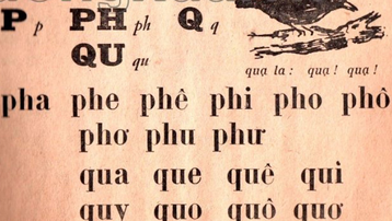 Tiếng Việt 1 không dạy chữ P: 'Cải tiến hoá cải lùi, sai lầm nghiêm trọng'