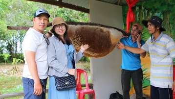 Cà Mau: Giữ hồn cốt đất rừng U Minh hạ để phát triển du lịch