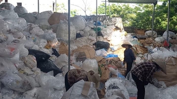 Bình Giang (Hải Dương): Cơ sở phân loại rác thải tái chế trái phép 'vô tư' hoạt động?