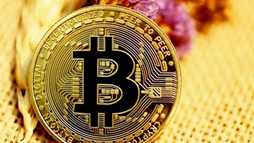 Giá Bitcoin hôm nay 25/5: Bitcoin vùng lên giữa nỗi lo sụp đổ