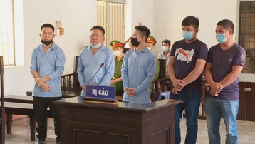 Đắk Lắk: Giúp em trả thù, 3 anh em ruột lĩnh 32 năm tù giam