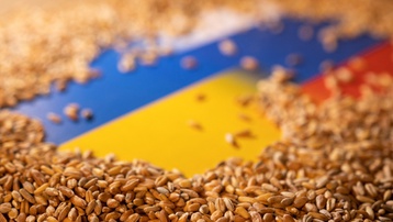 Tiến triển lớn trong đàm phán xuất khẩu ngũ cốc của Ukraine