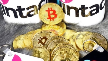 Giá Bitcoin hôm nay 31/7: Bitcoin trượt dốc, thị trường rực lửa