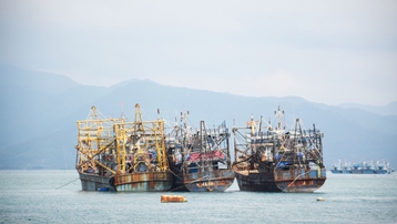 Bình Định: Chìm thuyền thúng trong lúc đánh cá, 2 cha con chết đuối