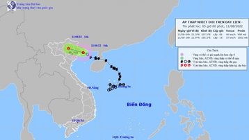 Bão số 2 suy yếu thành áp thấp nhiệt đới, gây mưa lớn ở Bắc Bộ và Thanh Hóa
