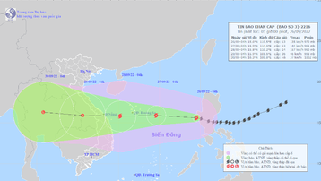 Tin bão khẩn cấp: Bão số 4 tiến vào biển Đông