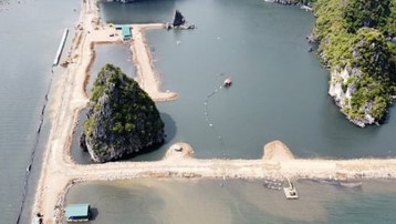 Yêu cầu dừng thi công dự án đe doạ môi trường vùng đệm vịnh Hạ Long