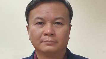 Đồng phạm khai bị Nguyễn Đức Chung mắng chửi,  yêu cầu phải trồng cây thật nhanh