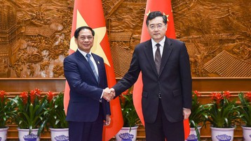Bộ trưởng Ngoại giao Bùi Thanh Sơn gặp Ủy viên Quốc vụ, Bộ trưởng Ngoại giao Trung Quốc Tần Cương