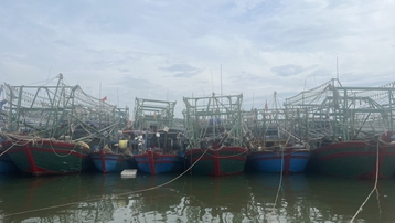 Quảng Ninh: Không chủ quan trước cơn bão số 1