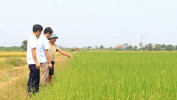 Phú Thọ: Huyện Thanh Ba tiến sát đích nông thôn mới