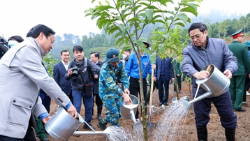 Thủ tướng yêu cầu tổ chức 'Tết trồng cây đời đời nhớ ơn Bác Hồ' thiết thực, hiệu quả