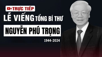 Trực tiếp: Lễ viếng Tổng Bí thư Nguyễn Phú Trọng