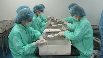 Việt Nam thử nghiệm vaccine Covid-19 trên khỉ