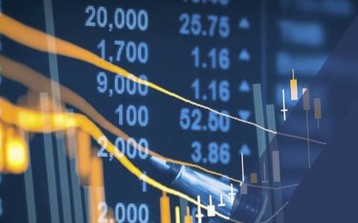 Hủy bỏ 9 đợt chào bán trái phiếu của Tân Hoàng Minh