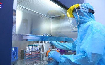 TP.HCM: Chủ động đối phó với dịch Covid-19 - Biến thể mới Omicron BA.4 và BA.5