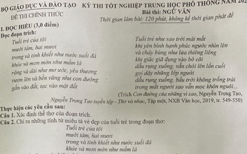Gợi ý đáp án môn Ngữ văn thi tốt nghiệp THPT 2022
