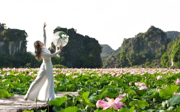 Ngỡ ngàng hồ sen ở Hang Múa nở rộ giữa trời Thu
