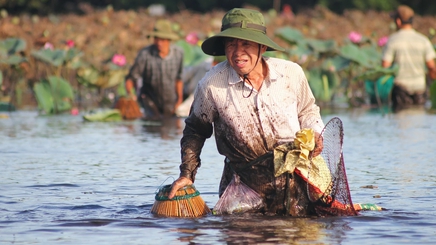 Lễ hội phá trằm bắt cá độc đáo ở Quảng Trị