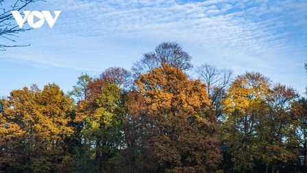 Chiêm ngưỡng phong cảnh mùa thu hữu tình tại Bỉ