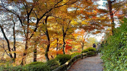 Khám phá mùa thu Nhật Bản