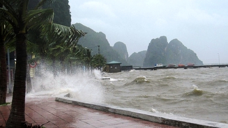 Các tỉnh Đà Nẵng đến Bình Thuận chủ động ứng phó áp thấp nhiệt đới