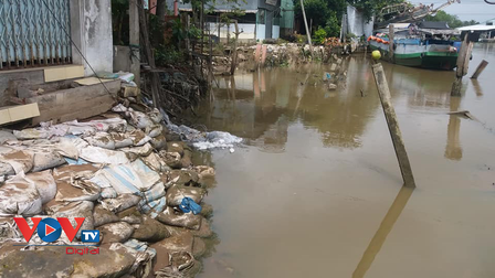 Triều cường, mưa to gây ra hàng chục điểm sạt lở tại huyện Cái Bè, Tiền Giang