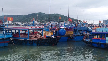 Các tỉnh Nam Trung bộ cấm biển, kêu gọi tàu thuyền trú, tránh bão số 12