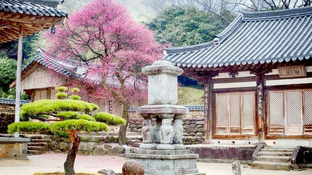Chiêm ngưỡng 33 ngôi chùa cổ đẹp nhất Hàn Quốc