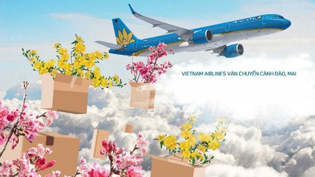 Vietnam Airlines nhận vận chuyển đào, mai dịp Tết Tân Sửu 2021