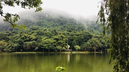 Khám phá Cúc Phương - Vườn quốc gia được vinh danh hàng đầu châu Á trong hai năm liên tiếp 2019-2020 