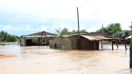 Mưa lũ ở Ninh Thuận gây thiệt hại 51 tỷ 300 triệu đồng