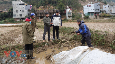 Các huyện vùng cao Yên Bái ứng phó với băng giá, rét hại