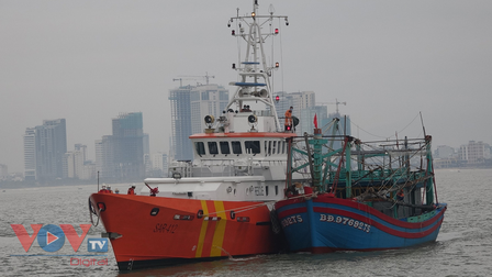 Bình Định: Tàu cá cùng 7 ngư dân gặp nạn trên biển