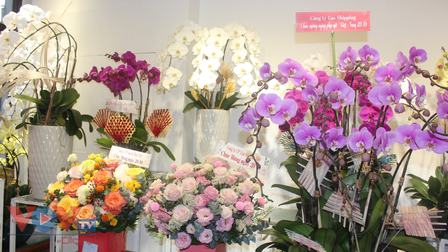 Thị trường hoa tại TP.HCM dịp 20/10: Giá hoa tăng dù sức mua giảm