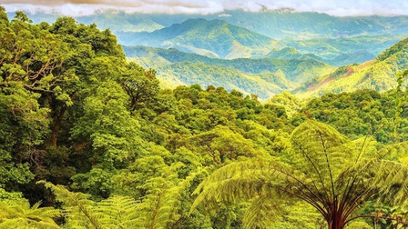 Say đắm với vẻ đẹp thơ mộng giữa núi rừng ở Động Châu - Khe Nước Trong