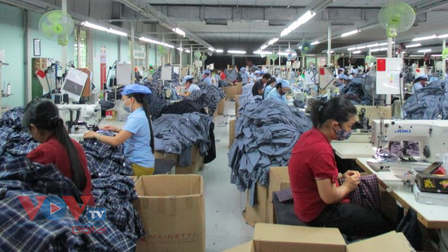 Gần 165.000 lao động ở Đà Nẵng nhận hỗ trợ từ Quỹ Bảo hiểm thất nghiệp