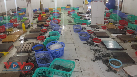 Kiên Giang: Phát hiện xử phạt 1 cơ sở bơm chích tạp chất vào tôm