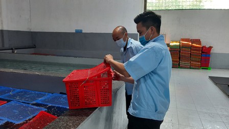Công ty TNHH Linh Phát (Khánh Hòa) có làm trái Thông tư 48 về thẩm định chất lượng tôm hùm xuất khẩu sang Trung Quốc?