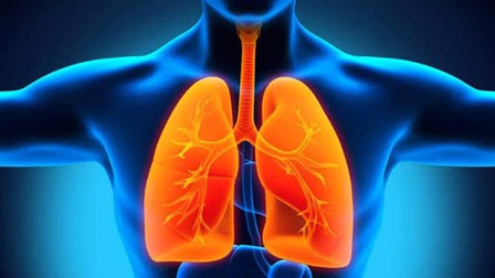  Thanh lọc phổi bằng phương pháp tự nhiên