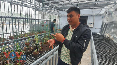 Thương vụ mua bán lan đột biến gần 300 tỷ đồng: Cơ quan chức năng ở Quảng Ninh nói gì?