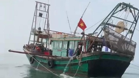 Quảng Ninh: Bắt giữ 4 phương tiện khai thác thủy sản trái phép