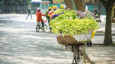 Thời tiết hôm nay: Bắc Bộ ngày trời nắng, đêm có mưa rào