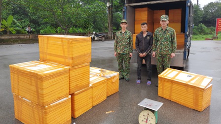 Quảng Ninh bắt giữ hơn 500kg cá tầm Trung Quốc nhập lậu