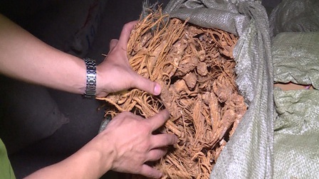 Lạng Sơn: Thu giữ gần 1 tấn nguyên liệu thuốc bắc  không rõ nguồn gốc