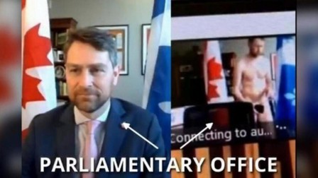 Nghị sĩ Canada từ chức vì bê bối khỏa thân, đi vệ sinh khi họp trực tuyến