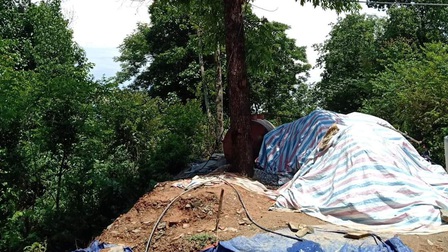 Trú mưa dưới gốc cây, một người ở Điện Biên bị sét đánh tử vong