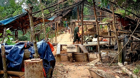 Thừa Thiên Huế: Phát hiện các hầm khai thác vàng trái phép giữa lõi rừng phòng hộ Nam Đông