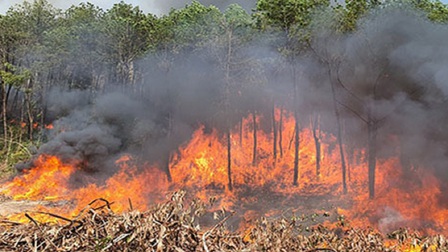 Thừa Thiên Huế: Cháy gần Trạm Kiểm định đạn dược
